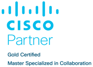 Cisco Gold Colab Blue Cropped